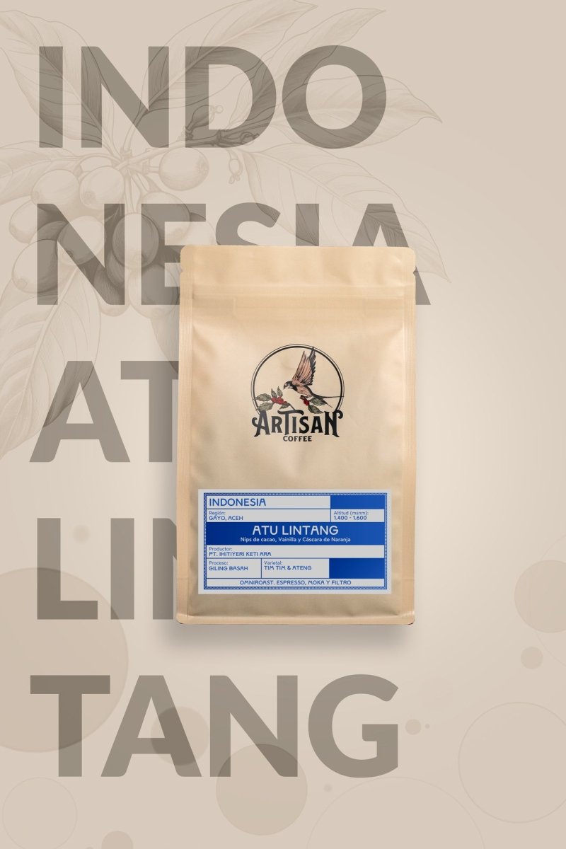 Atu Lintang. Café de Indonesia, Gling Basah - Artisancoffee