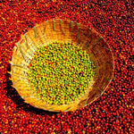 Ayla Bombe. Café de Etiopía, Sidama. Natural - Artisancoffee