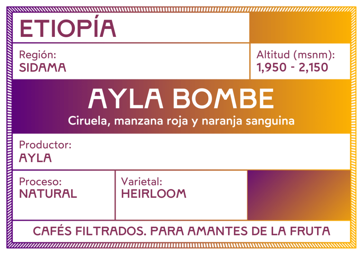 Ayla Bombe. Café de Etiopía, Sidama. Natural - Artisancoffee