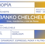 Banko Chelchele. Café de Etiopía, Yirgacheffe - Artisancoffee