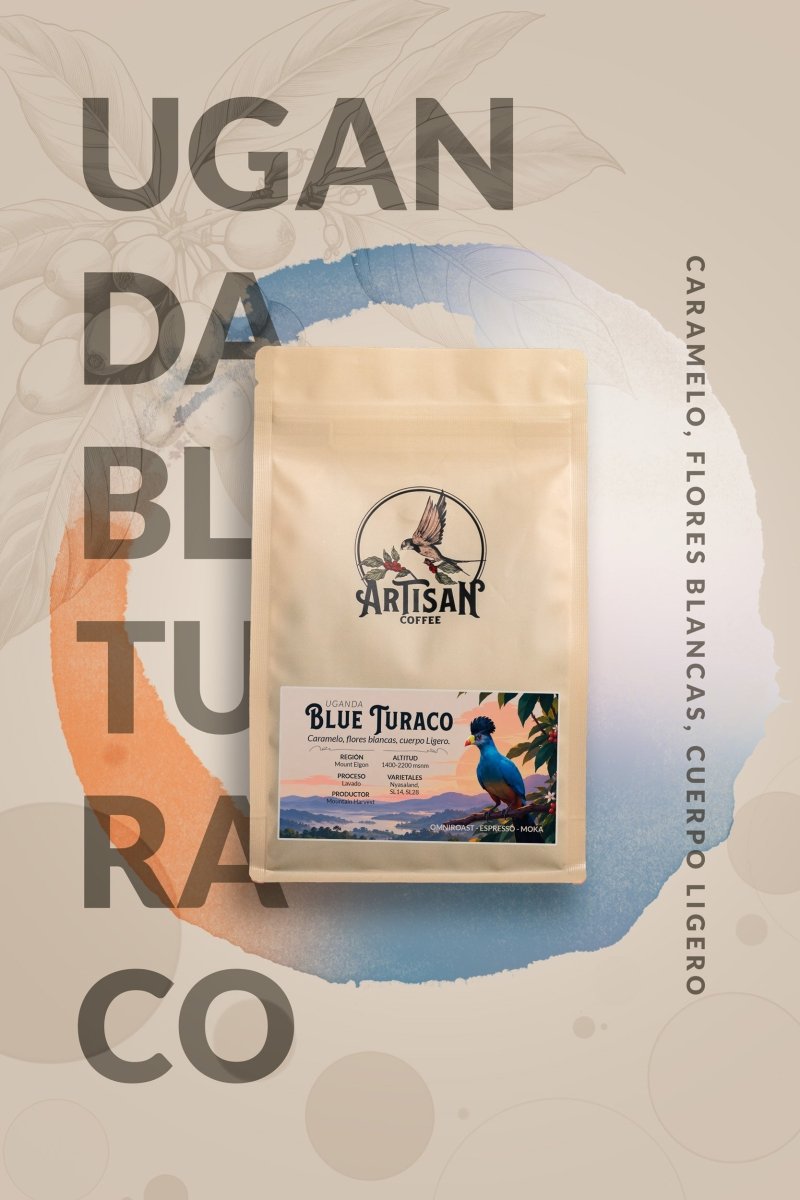 Blue Turaco – Café de especialidad de Uganda Lavado - Artisancoffee
