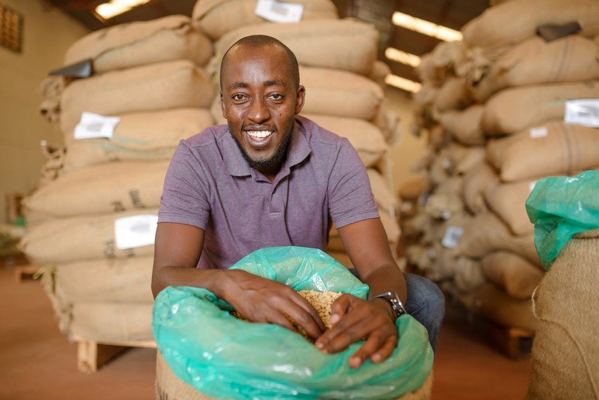 Blue Turaco – Café de especialidad de Uganda Lavado - Artisancoffee