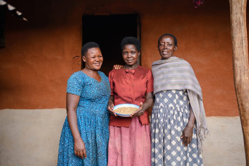 Blue Turaco – Café de especialidad de Uganda Lavado - Artisancoffee