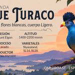Blue Turaco – Café de especialidad de Uganda Lavado - Artisancoffee