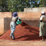 Chania Estate. Café de Kenia. Natural. - Artisancoffee