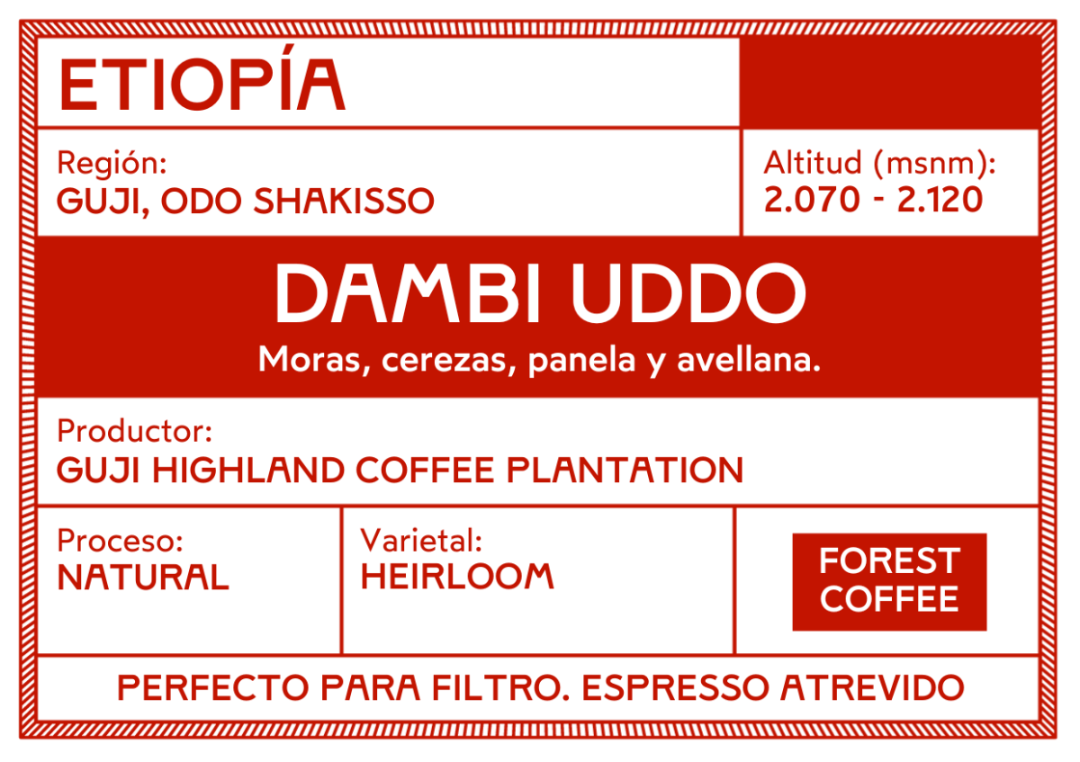 Dambi Uddo. Café de Etiopía. Natural. Guji - Artisancoffee