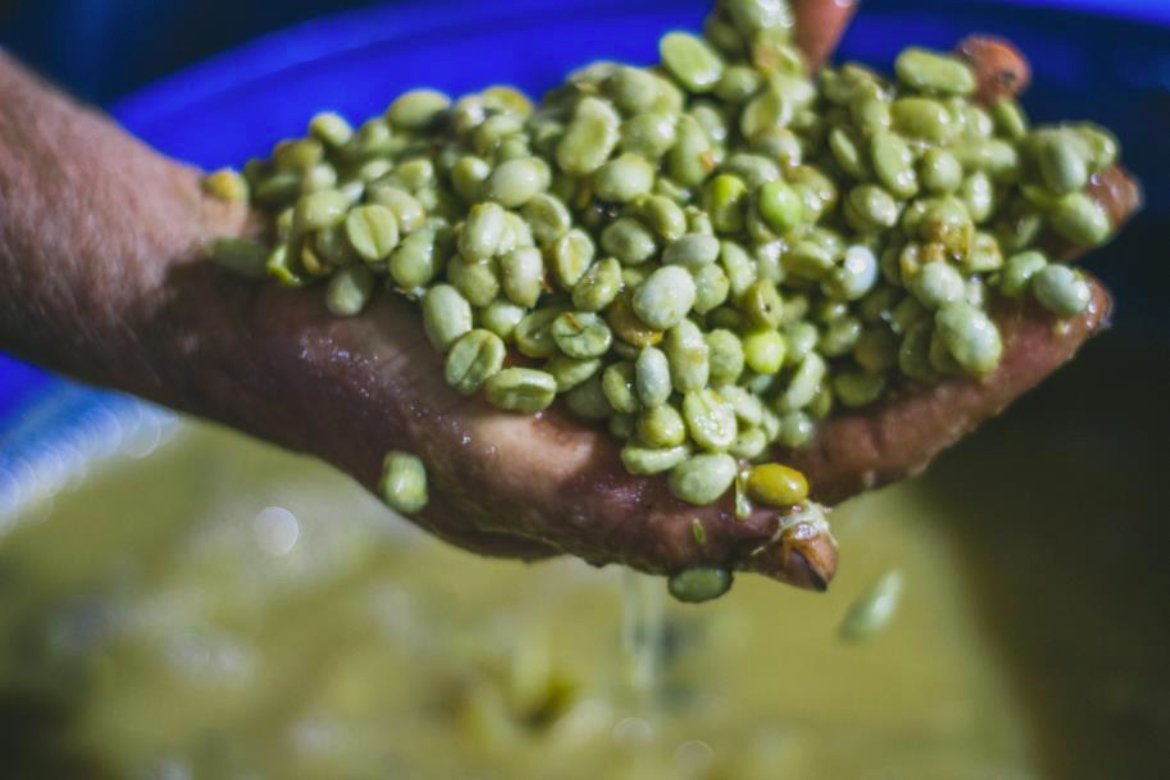 Fruta de la Pasión. Monteblanco. Café de Colombia. Cofermentado - Artisancoffee