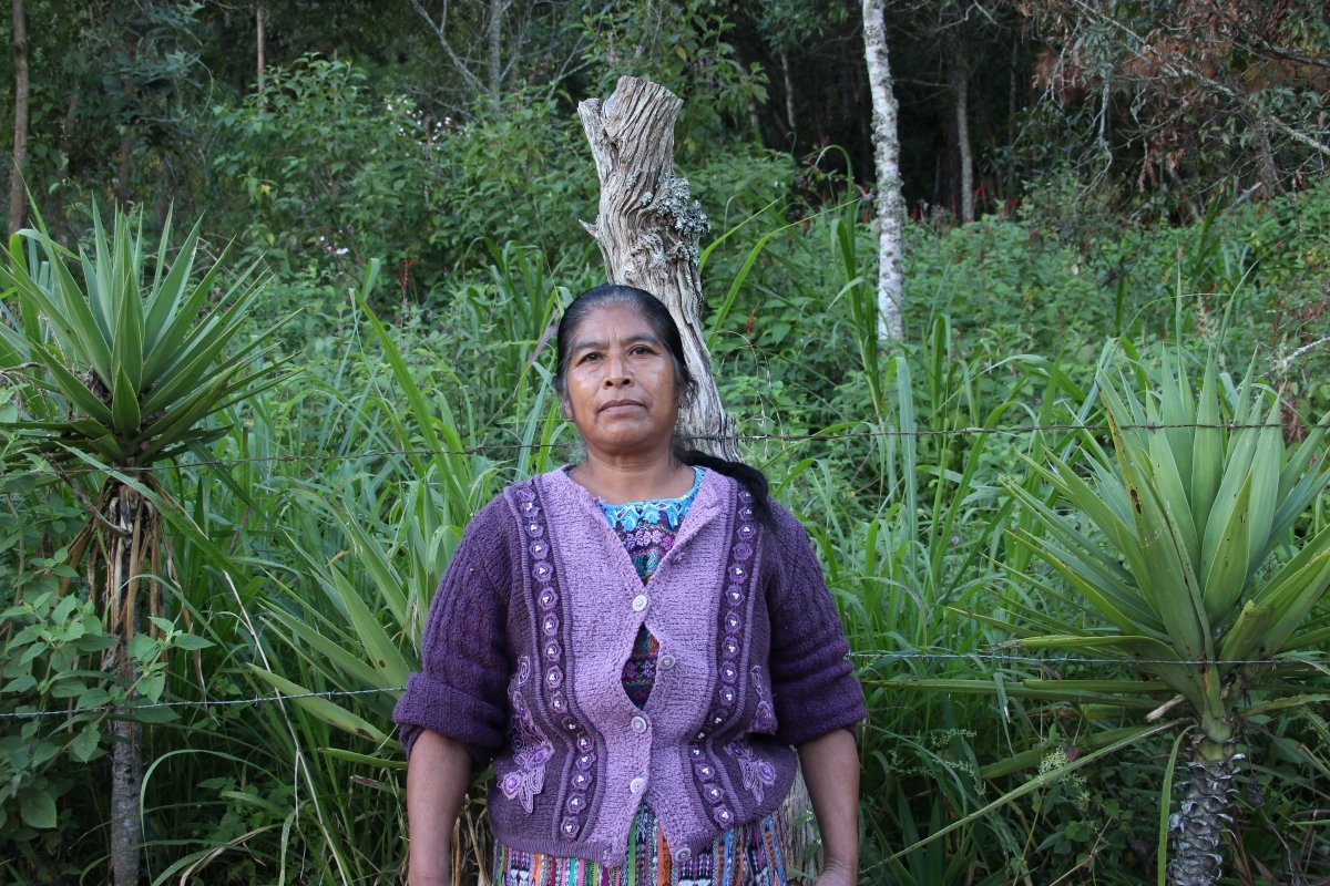 Fuerza de Mujer. Café de Guatemala. Lavado. - Artisancoffee