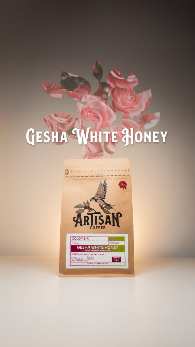 Gesha White Honey Sebastián Ramirez. Geisha Café de Colombia - Artisancoffee