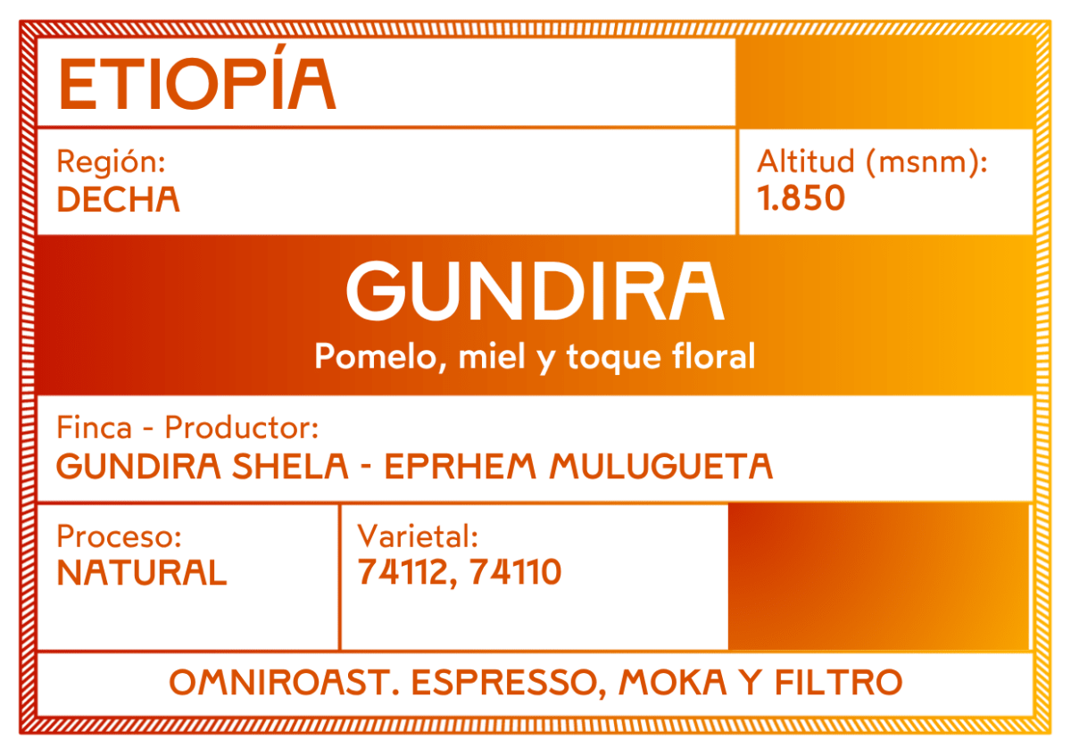 Gundira – Café de especialidad de Etiopía natural - Artisancoffee