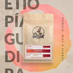 Gundira – Café de especialidad de Etiopía natural - Artisancoffee