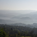 Gundira – Café de especialidad de Etiopía natural - Artisancoffee