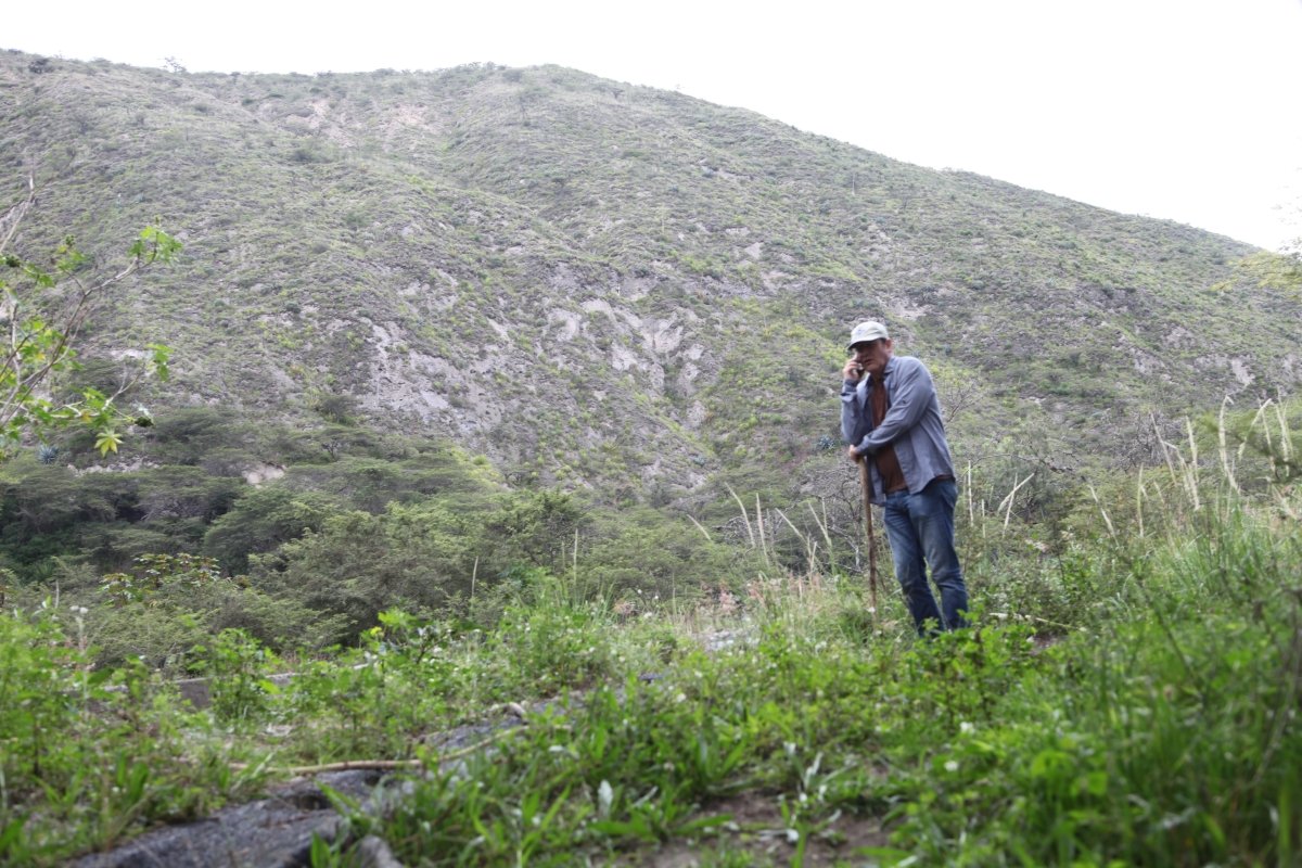 Las Terrazas del Pisque. Café de Ecuador. Lavado. - Artisancoffee