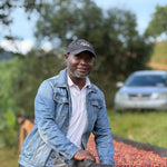 Pitta – Café de especialidad de Uganda Yellow Honey - Artisancoffee