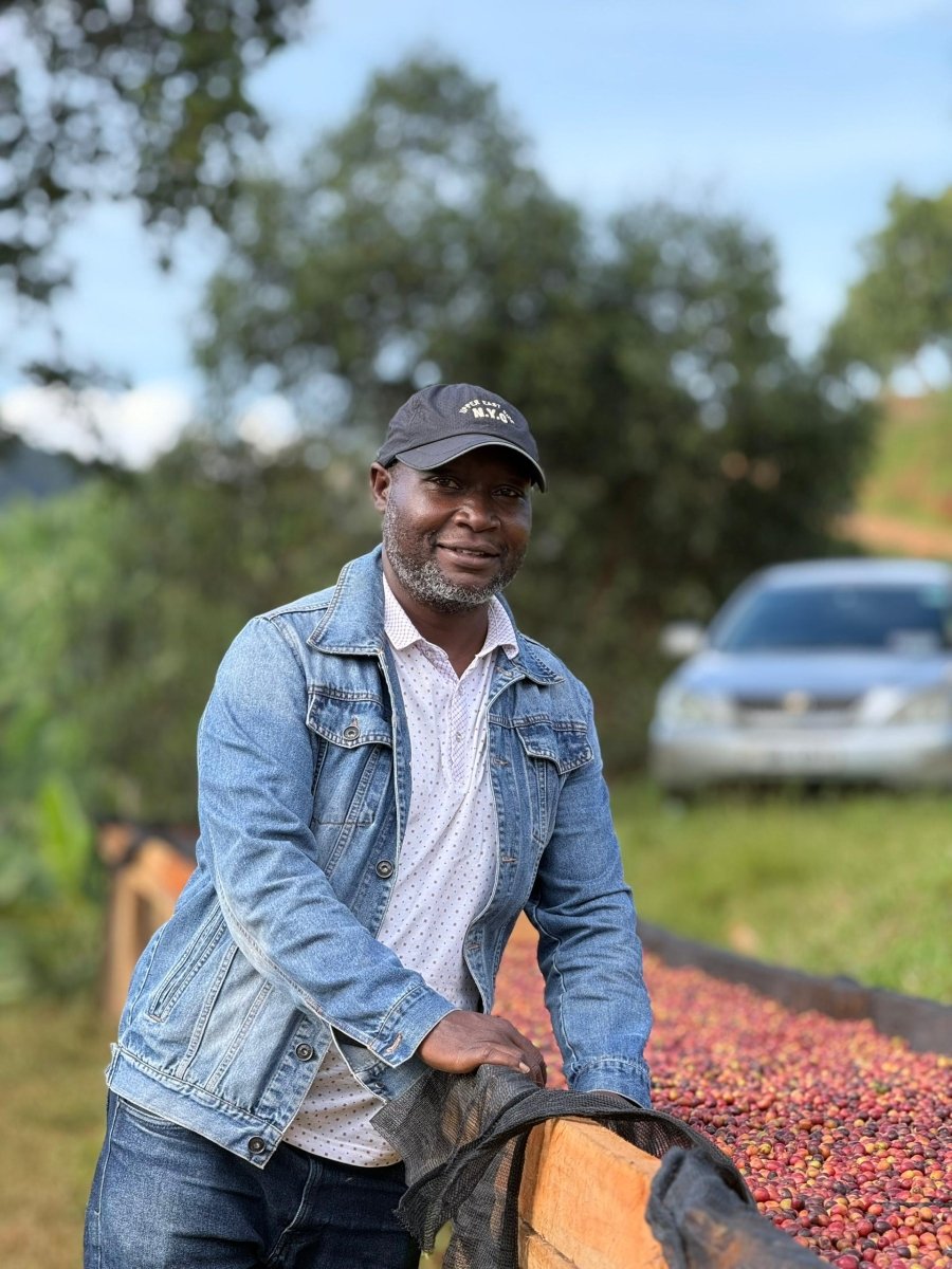 Pitta – Café de especialidad de Uganda Yellow Honey - Artisancoffee
