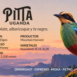 Pitta – Café de especialidad de Uganda Yellow Honey - Artisancoffee