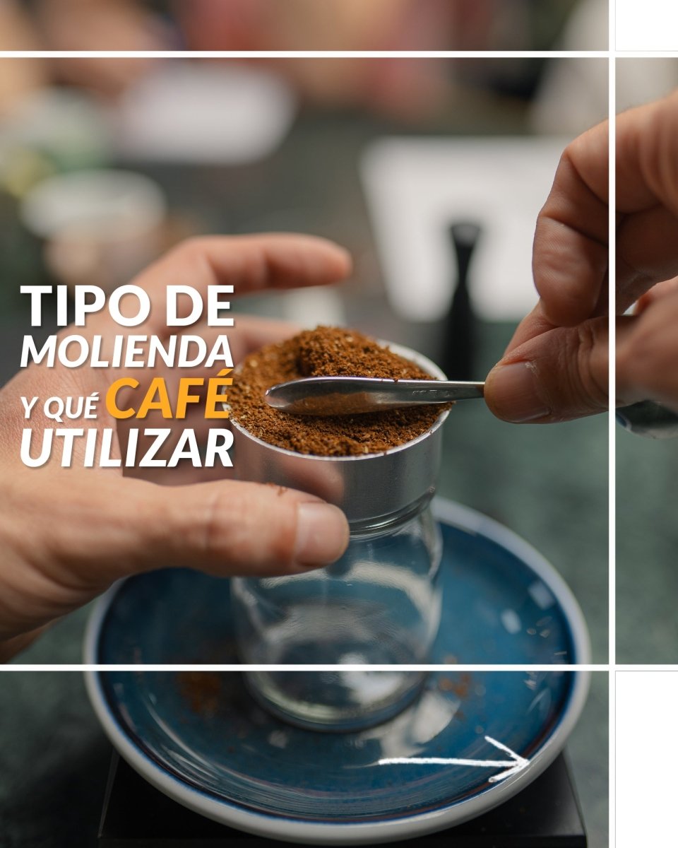 Taller básico de Latteart en casa. Consigue un capuccino perfecto con la prensa francesa y la moka - Artisancoffee