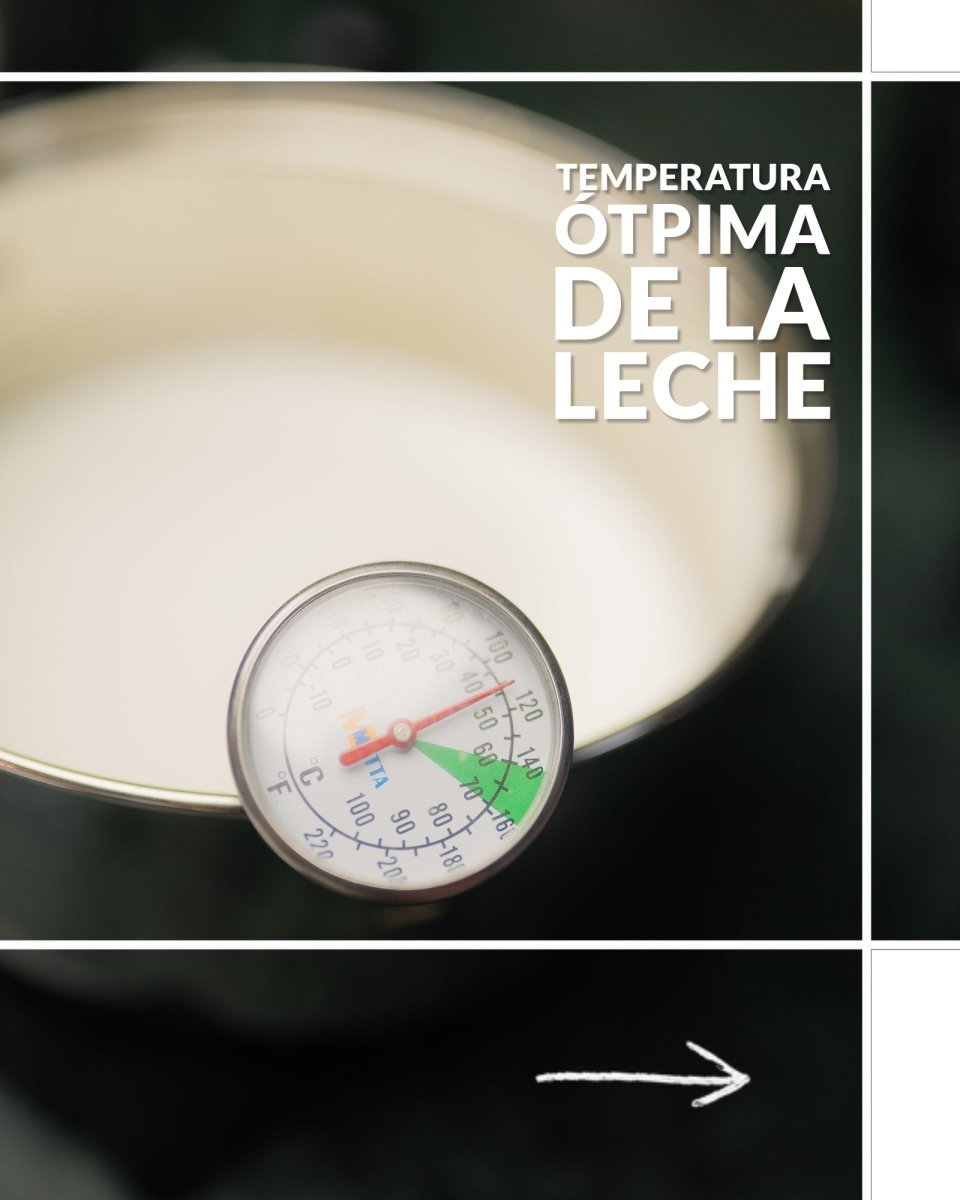 Taller básico de Latteart en casa. Consigue un capuccino perfecto con la prensa francesa y la moka - Artisancoffee