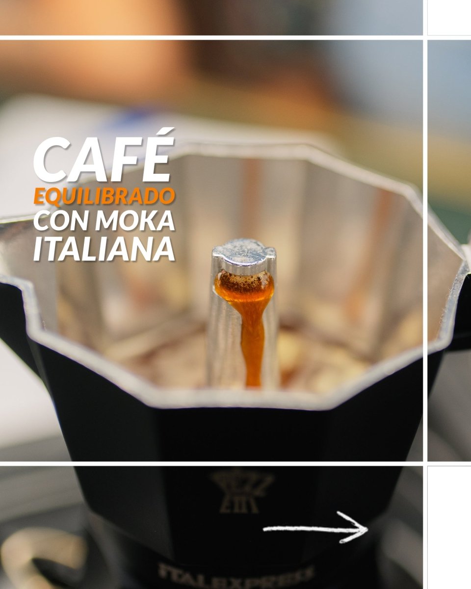 Taller básico de Latteart en casa. Consigue un capuccino perfecto con la prensa francesa y la moka - Artisancoffee