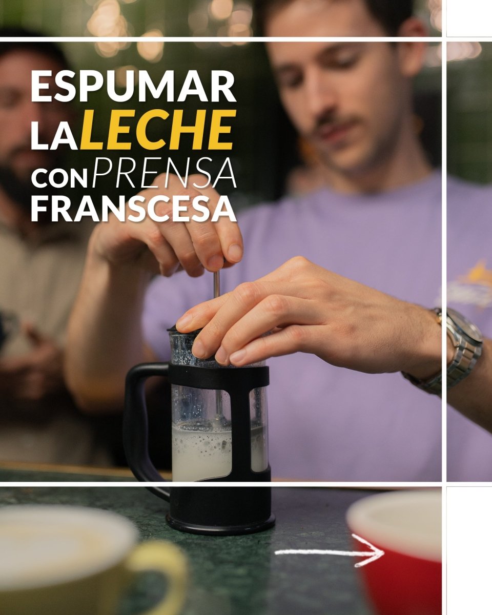 Taller básico de Latteart en casa. Consigue un capuccino perfecto con la prensa francesa y la moka - Artisancoffee