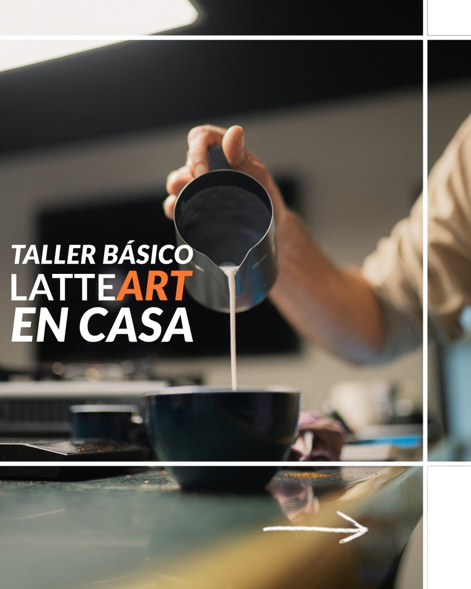 Taller básico de Latteart en casa. Consigue un capuccino perfecto con la prensa francesa y la moka - Artisancoffee