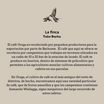 Información de la finca del Café de especialidad de Etiopía con notas frutales y florales tostados por Artisan Coffee Málaga