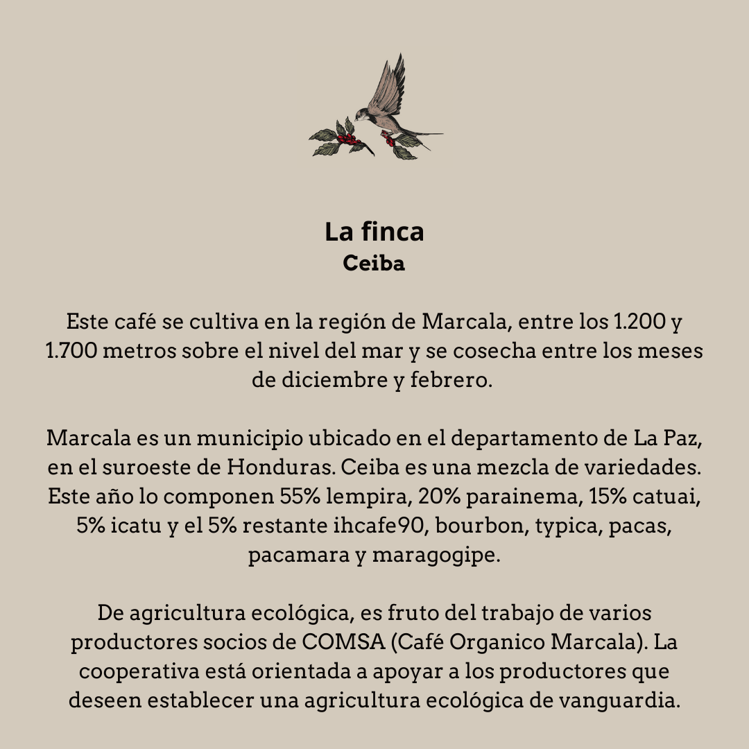 Café ecológico de Honduras. Finca Ceiba - Artisancoffee