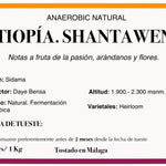 Shantawene Daye Bensa. Café de Etiopía. Natural Anaeróbico - Artisancoffee