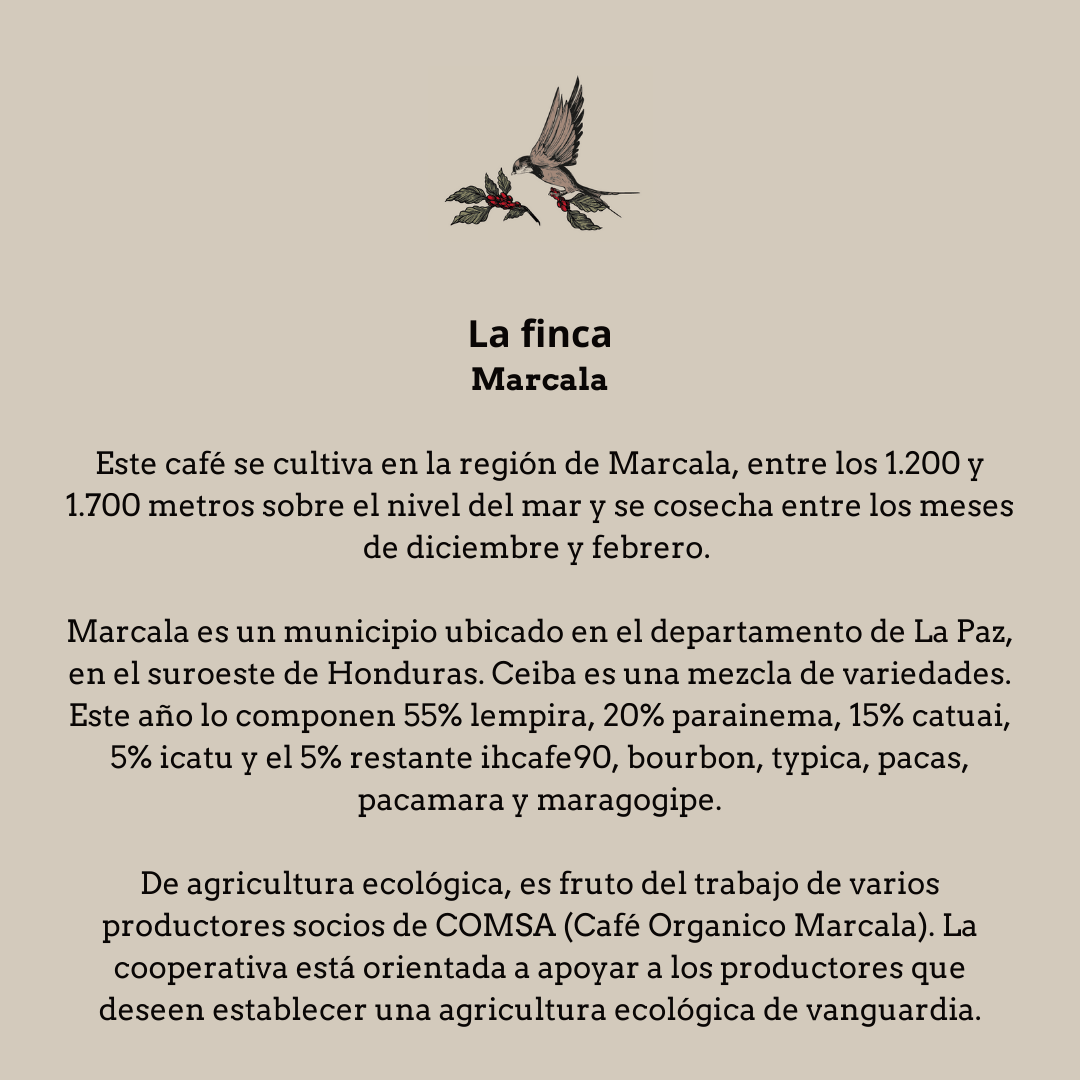 Uluma. Honduras - Artisancoffee